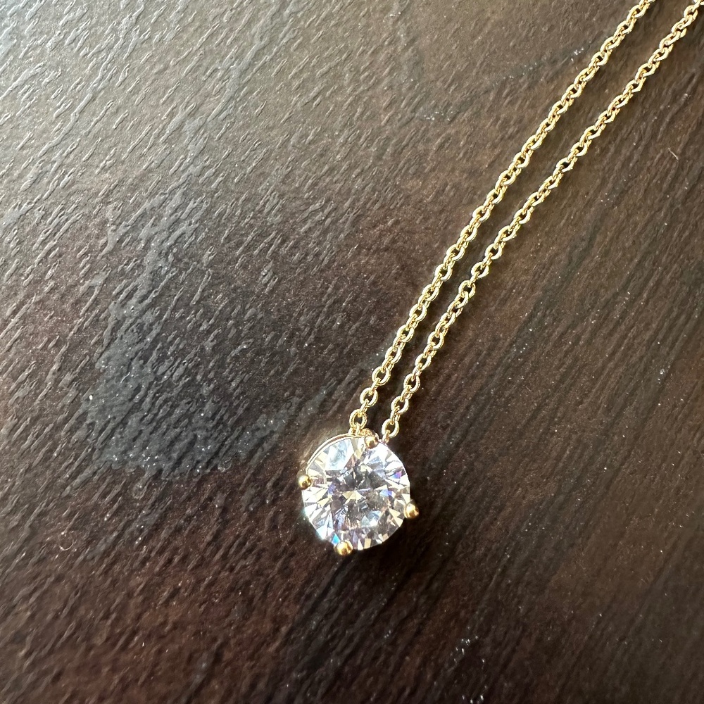 Banana Republic Pendant Necklace (New Without Tags)